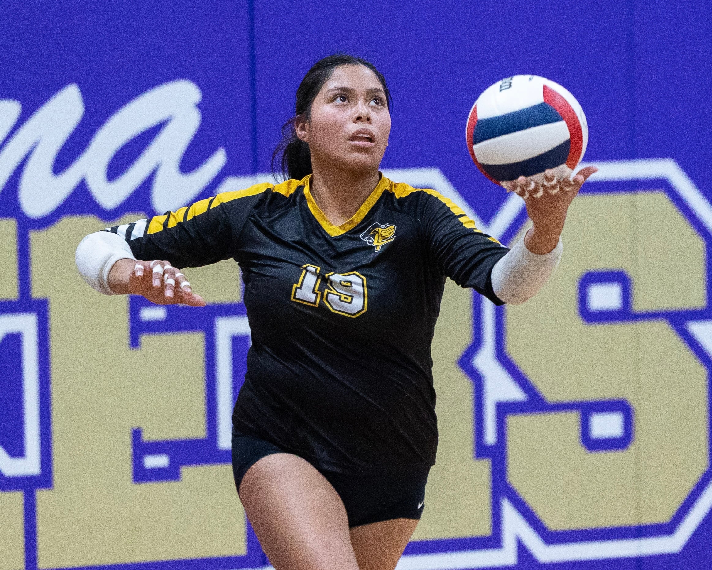 Putnam County volleyball falls in regional final: Thursday’s NewsTribune/BCR roundup — Tinley Park Community news
