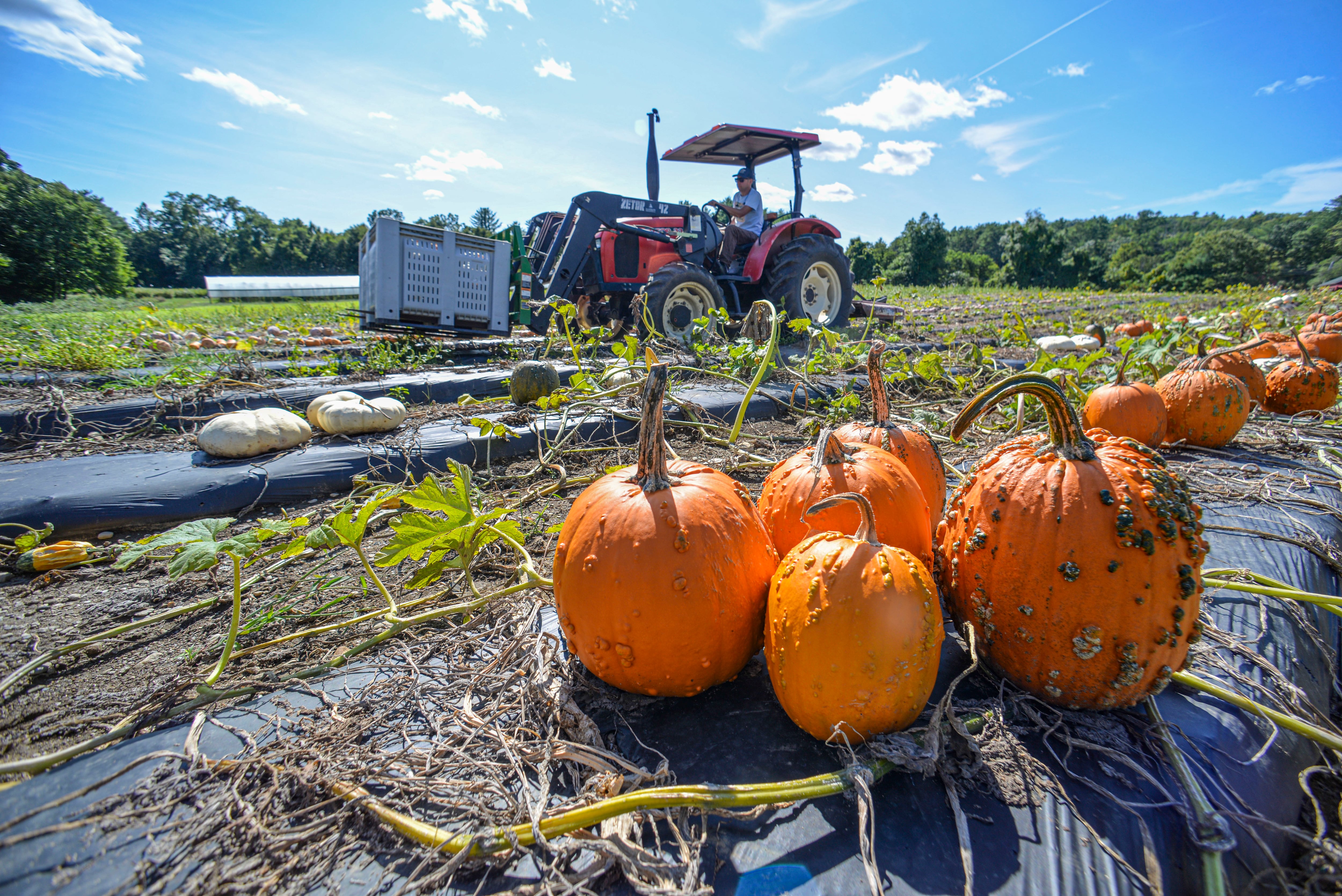 Breaking point: Rising costs grip ag economy — Tinley Park Arts news